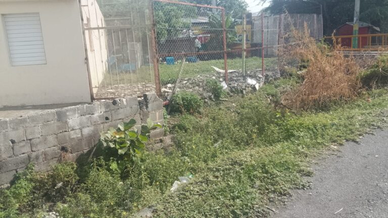 TERRENO VACIO