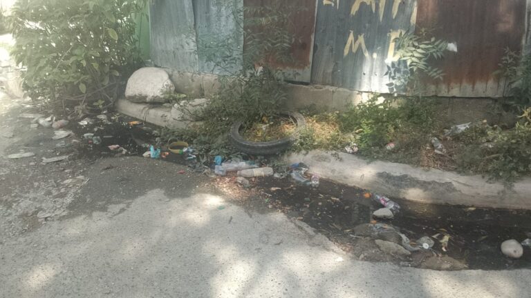 AGUA ESTANCADA