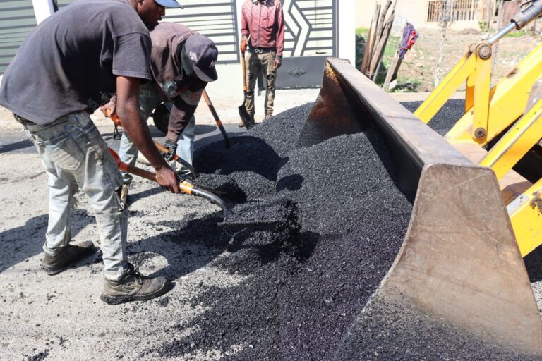 BACHEO