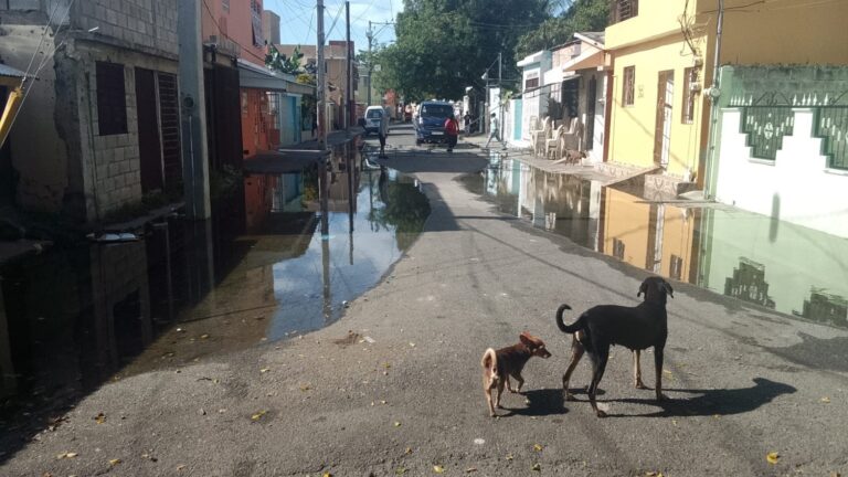 CALLE BASILIO