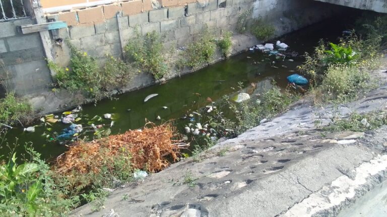 CONTAMINACION 5