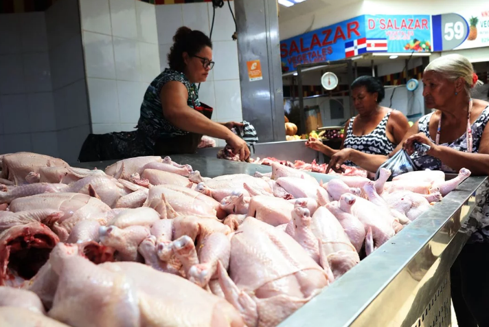 POLLO
