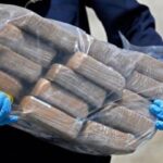 incautan-836-kilos-de-droga-en-panama-y-arresta-a-tres-personas-59a1fa94-focus-0-0-375-240
