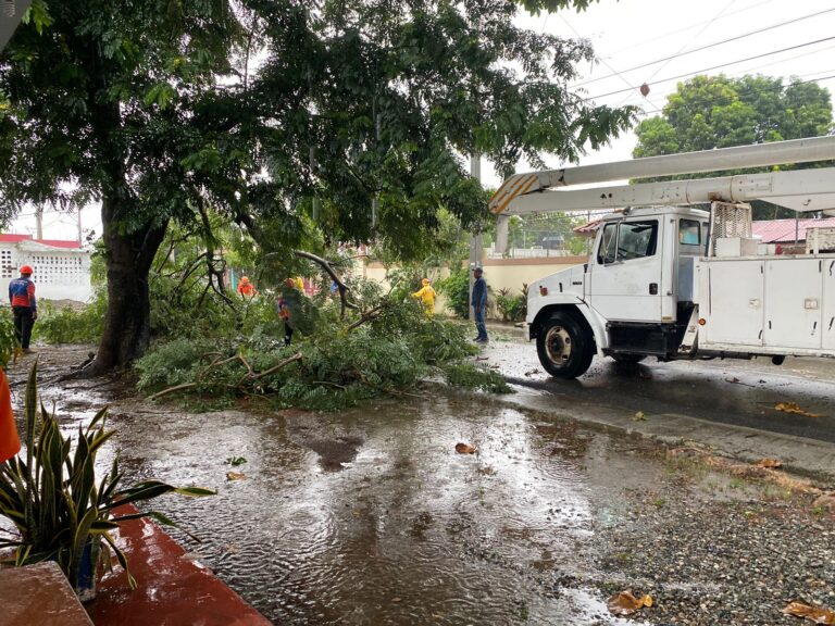 ARBOL CAE
