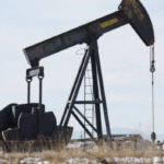PETROLEO NY