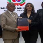crop-w5364-h3577-proyecto-de-ley-mirabal-establece-sanciones-por-violencia-vicaria-00418d11