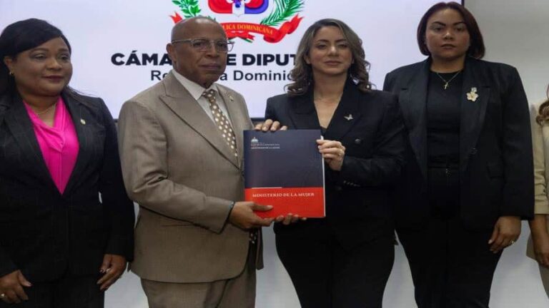 crop-w5364-h3577-proyecto-de-ley-mirabal-establece-sanciones-por-violencia-vicaria-00418d11