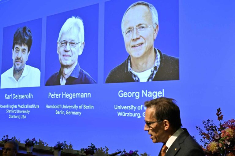tres-nobel-pioneros-en-la-optogenetica-que-revoluciona-neurociencia-b17bd55e